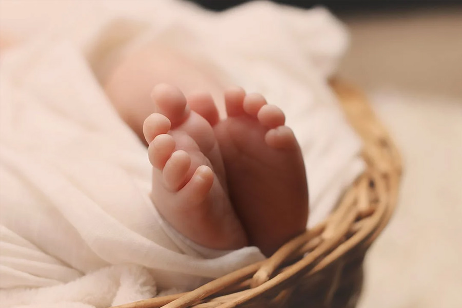 সময়ের ১০ সপ্তাহ আগে পৃথিবীতে আসে ১ কেজি ৮০০ ওজনের ‘কাশ’।