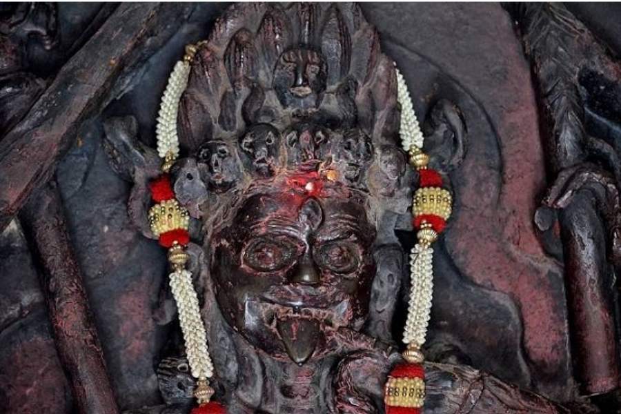 প্রতিমা শিল্পী কষ্টিপাথরের মূর্তিটি এমন ভাবেই তৈরি করে ছিলেন, যাতে দেহের শিরা-উপশিরা, ধমনী পরিষ্কার ভাবে বোঝা যায় মূর্তিটিতে। বহু ইতিহাসবিদ মনে করেন, শিল্পীর শরীরতত্ত্ব নিয়ে বিশেষ জ্ঞান ছিল।