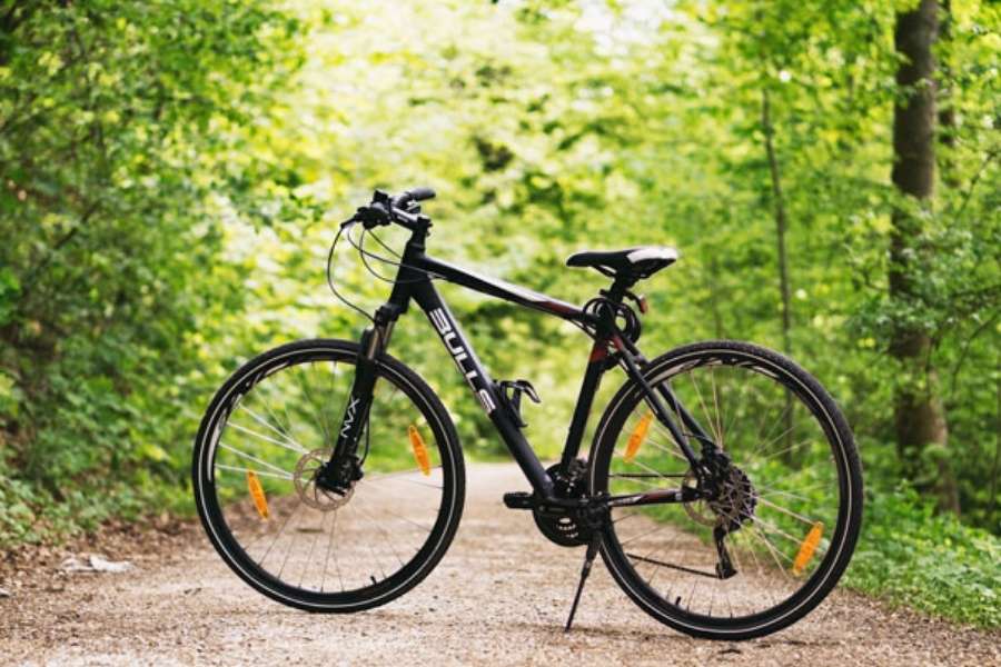 সাইকেল- ভাই যদি হয় ছোট,  ভাল একটি সাইকেলের শখও থাকতেই পারে। এই বছরের ভাইফোঁটায় আপনিই উপহার দিন না সেই সাধের সাইকেল! 