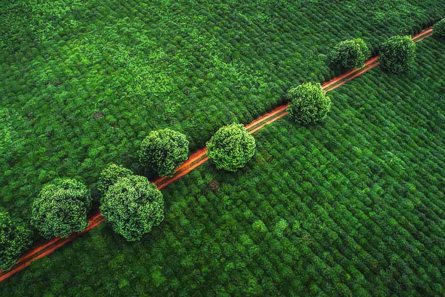 চেঙ্গিস যে পরিমাণ জমির মালিক ছিলেন, তার বর্তমান বাজারমূল্য ৯০ লক্ষ কোটি ডলার।