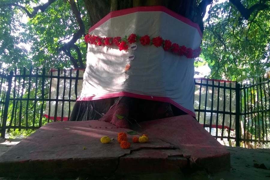 তবে এই মন্দিরের প্রতিষ্ঠা কিন্তু আরও আগে। কথিত, ভিতরে প্রতিষ্ঠিত পঞ্চমুণ্ডি আসনের বয়স নাকি আনুমানিক ৫০০ বছরের বেশি। 