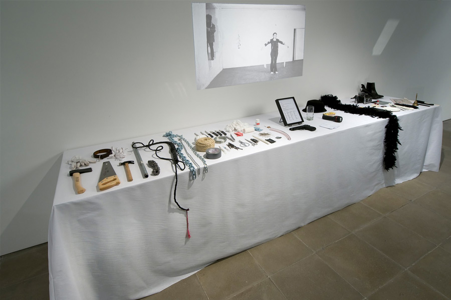 ছ’ঘণ্টার ওই শোয়ের শুরুতে মেরিনা মঞ্চের উপর একটি টেবিল এনে রাখেন। এর পর একে একে সেই টেবিলের উপর রাখেন ৭২টি বস্তু।