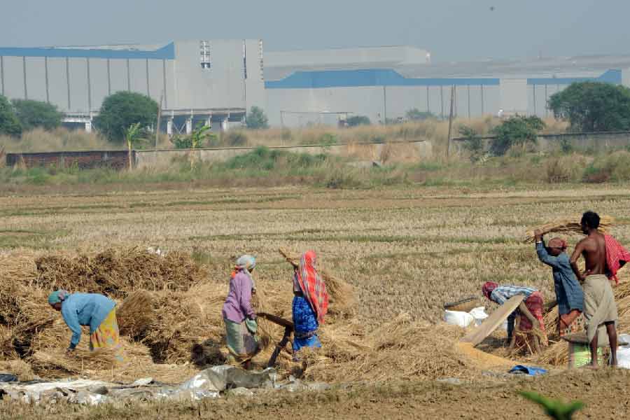 ২০০৭ সালের ২১ জানুয়ারি ন্যানো কারখানার জন্য অধিগৃহীত জমির চারপাশে পাঁচিল তোলার কাজ শুরু হয়েছিল। ৯ মার্চ অধিগৃহীত জমি টাটার হাতে তুলে দেওয়ার পরে নতুন করে অশান্তির শুরু হয়। জমিহারা কৃষকের আত্মহত্যা ঘিরে বিতর্কও শুরু হয়েছিল।