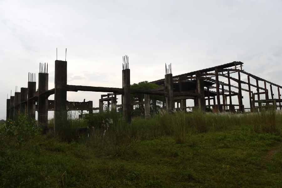 রতন জানিয়েছিলেন, মুম্বইয়ের রাস্তায় স্কুটারে সওয়ার বাবা-মায়ের মাঝখানে পরিবারের শিশু সদস্যটির ‘স্যান্ডউইচ’ হয়ে কুঁকড়ে থাকা দেখে দেশের মধ্যবিত্ত শ্রেণির নাগরিকদের জন্য একটি সস্তা এবং নিরাপদ গাড়ির কথা ভেবেছিলেন। যদিও ঘটনাপ্রবাহ বলছে, তাঁর সেই ‘স্বপ্নের প্রকল্প’ সফল হয়নি। ন্যানো গাড়ি উৎপাদন বন্ধ করে গুজরাতের সানন্দের কারখানায় এখন অন্য গাড়ি করছে টাটা গোষ্ঠী।