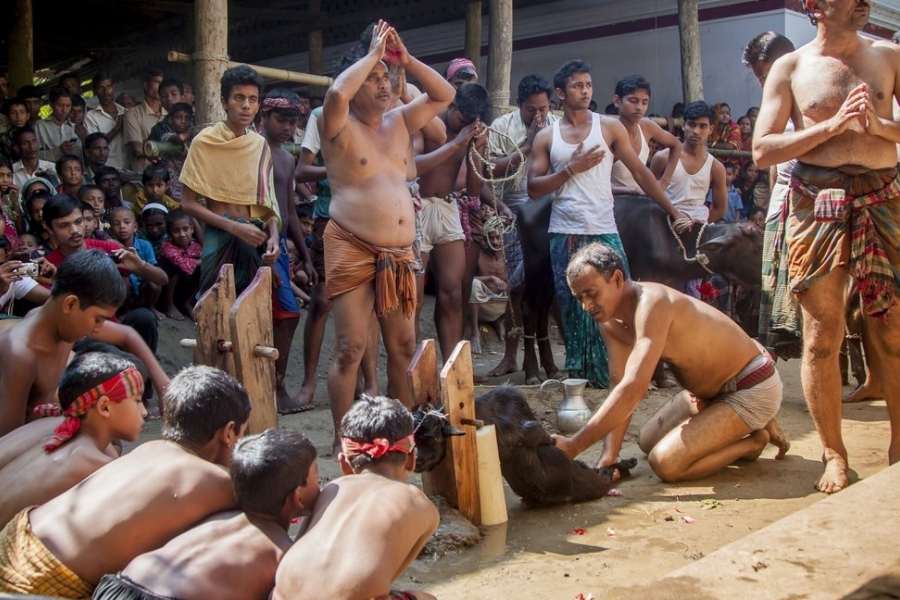 ভক্তদের মনে রয়েছে অগাধ বিশ্বাস। মানুষের ধারণা দেবীর নাম করে মাদুলী ধারণ করলে সেরে যায় মারাত্মক রোগ ব্যাধিও।