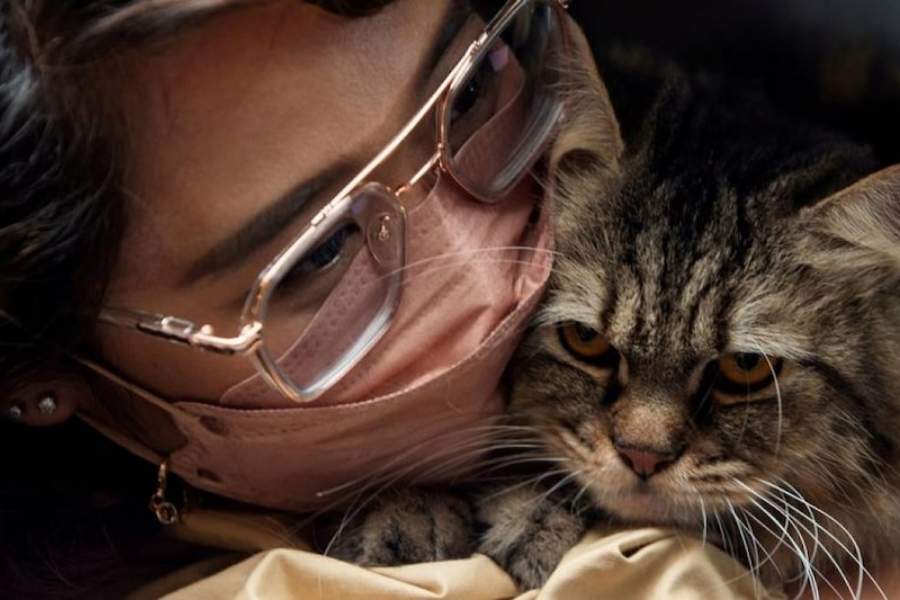 প্রথমেই তিনি জানান যে, দীপাবলি বা কালীপুজোর আনন্দে পরিবারের সকলে মিলে মেতে উঠলে চলবে না, বরং যে সদস্যের সঙ্গে আপনার পোষ্য সবথেকে আরামে থাকে, তাদের সঙ্গে কালীপুজোর ৪৮ ঘণ্টা আগে ও পরে সময় কাটাতে দিন যাতে সে সুরক্ষিত বোধ করে