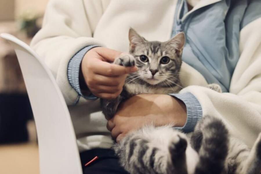 যদি এক দু'দিন কম খাবার খায়, তাতে সমস্যা নেই। সে ক্ষেত্রে জলের মধ্যে পেট ওআরএস মিশিয়ে দিতে হবে। 