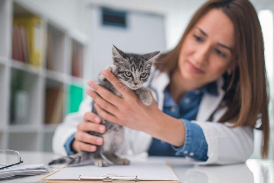 আর শেষ টিপস হিসেবে তিনি বলেন, “এটি আলোর উৎসব, শব্দের উৎসব নয়!” সচেতনতার কোনও বিকল্প হয় না। তাই যাঁদের বাড়িতে পোষ্য রয়েছে, তাঁরা অবশ্যই আশপাশে সবার বাড়িতে গিয়ে সচেতনতা তৈরি করুন। অকপটে জানান আপনার পোষ্য এবং অন্যান্য পশুদের অসুবিধার  কথা। যাতে অন্যরা সংবেদনশীল হয়ে চিন্তা ভাবনা করেন ও শব্দবাজি না ফাটান।