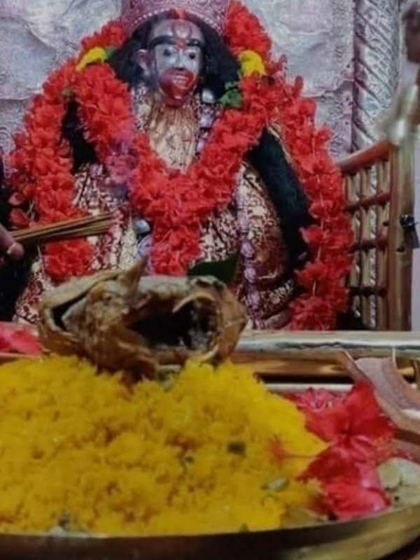 ভোগের তালিকায় রয়েছে প্রেত ভোগও। ডাকিনী যোগিনীদের উদ্দেশ্যে দেওয়া এই ভোগ শ্মশানেই দেওয়া হয়। রাতে এক বারই এই ভোগ আয়োজন থাকে। বামদেবের খুব প্রিয় কুকুর ছিল শিবা। তার জন্যও থাকে বিশেষ ভোগের আয়োজন।