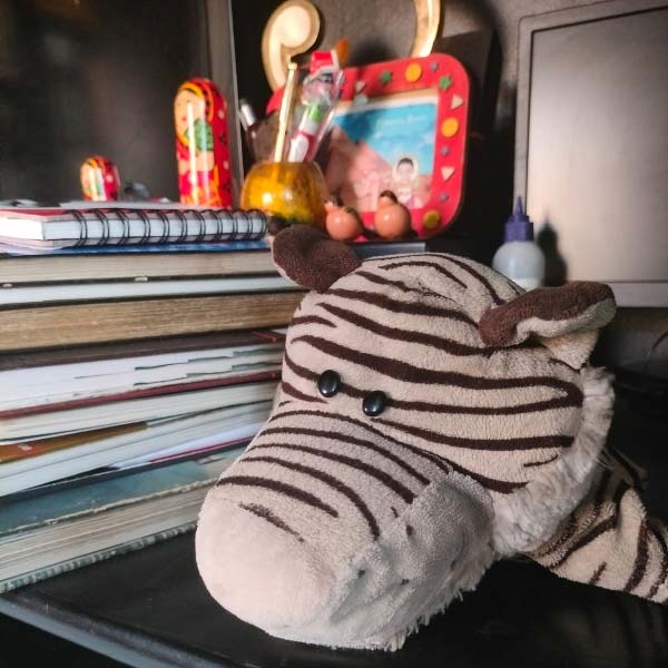 ছেলের জন্য কেনা সাদা বাঘ ঋত্বিকের হাতের পুতুল হয়ে গিয়েছে