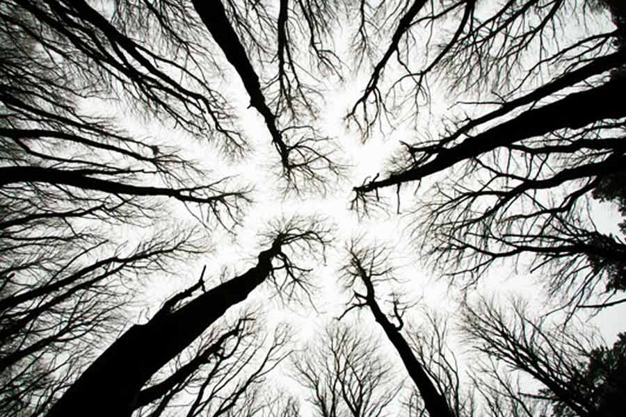 নিজের মন্তব্যের ব্যাখ্যা দিয়েছেন রুচি। তিনি বলেন, ‘‘সিরিয়াল কিলার বা সাইকোপ্যাথের মগজে কী চলছে, তা জানার কৌতূহলই দর্শকদের টেনে আনে। ধীরে ধীরে কাহিনির পরত খোলার সময় যে উত্তেজনা টের পান তাঁরা এবং শেষমেশ অপরাধী ধরা পড়লে যা শান্তি পান, সেগুলিও সিরিজ়ের প্রতি ঝোঁকের কারণ।’’