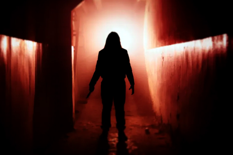 অপর্ণা আরও বলেন, ‘‘আমাদের মতো দেখতে কিছু লোকজন (সিরিয়াল কিলারেরা) কেন যে এমন (অপরাধ) করেন, এ ধরনের সিরিজ়ে তা দেখানো হয়। এ সব সিরিজ়ের মাধ্যমে আমাদের সংস্কৃতি, রীতিনীতি, তার বিকৃতি এবং পরিণতিও দেখতে পাই। ভাল এবং মন্দের চিরকালীন দ্বন্দ্বের প্রতি যে অন্তর্নিহিত আকর্ষণ রয়েছে আমাদের, তা নিয়েও খেলা করেন এ সিরিজ়গুলির নির্মাতারা।’’