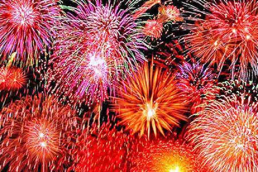 শব্দবাজির গগনভেদী আওয়াজে নিরীহ প্রাণগুলি ভয়ে ত্রস্ত হয়ে ওঠে।