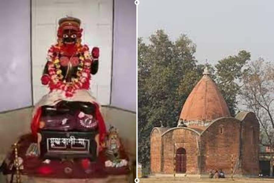 প্রতি বছর কালী পুজোর সময়, দূর-দূরান্ত থেকে ভক্তরা আসেন গুহ্যকালীর পুজো দিতে। অমবস্যার রাতে মহা আড়ম্বরে হয় দেবীর আরাধনা।