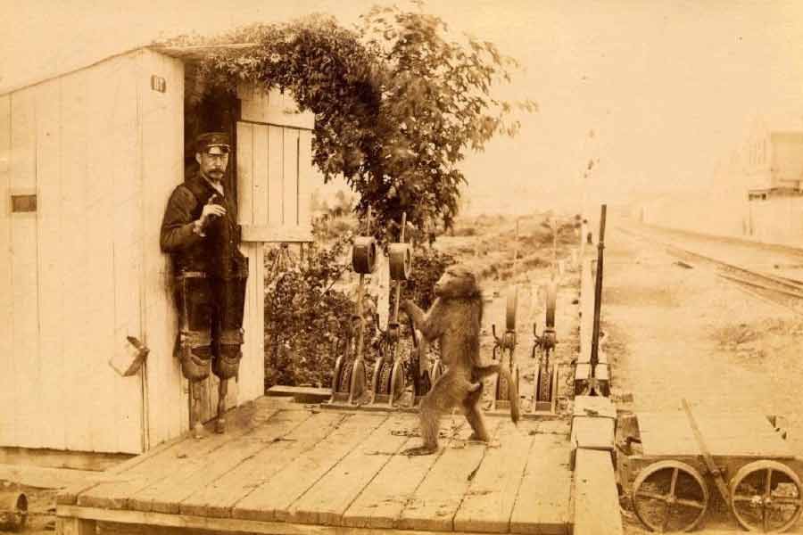 জেমস সিগন্যাল দেওয়ার পদ্ধতিও শেখাতে শুরু করলেন জ্যাককে। কোন লিভার কত বার টানতে হয়, কত বার বাঁশির আওয়াজ হলে সিগন্যালম্যান রেললাইন বদলাবেন, সে সবও শিখিয়েছিলেন জ্যাককে।