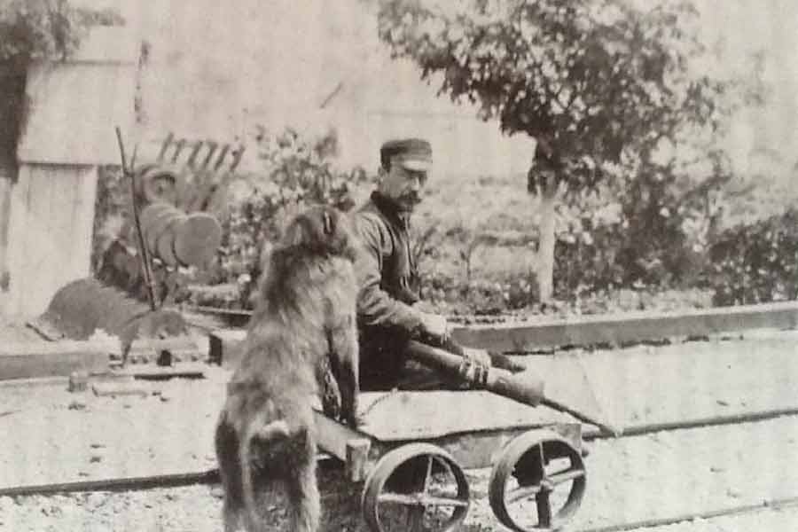 কিন্তু মানুষের পরিবর্তে একটা বেবুন এই কাজ করছে, তা নজরে পড়ে যায় এক রেলযাত্রীর। রেল কর্তৃপক্ষের কাছে অভিযোগও জানান তিনি।