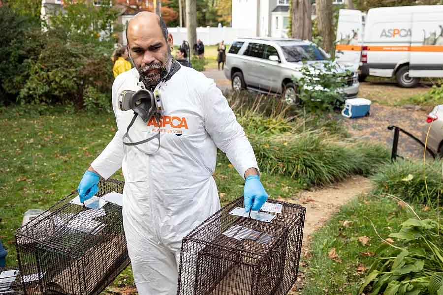 ধৃতের নাম কারিন কিজ়। ৫১ বছর বয়সি ওই মহিলা নিজেকে সমাজকর্মী এবং পশুপ্রেমী হিসাবে দাবি করেন। তাঁর বাড়ি থেকে সম্প্রতি ১ লক্ষ আরশোলা উদ্ধার করা হয়েছে।