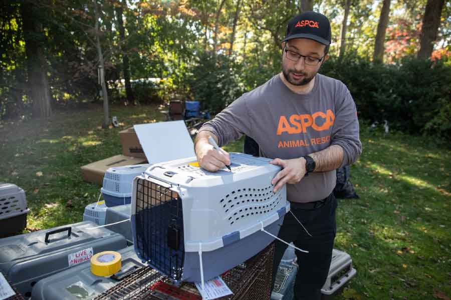 অভিযোগ, পশুপাখি, কীটপতঙ্গদের অত্যন্ত অস্বাস্থ্যকর পরিবেশে রেখেছিলেন কারিন। বাড়িময় ছড়িয়ে-ছিটিয়ে ছিল তাদের মলমূত্র।