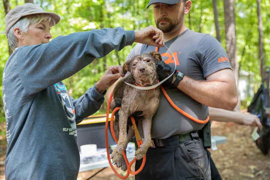 জানা গিয়েছে, ঘনিষ্ঠ মহলে কারিন ‘স্নো হোয়াইট’ নামে পরিচিত। বন্ধুবান্ধব এবং সহকর্মীরা তাঁকে ওই নামেই ডাকেন।