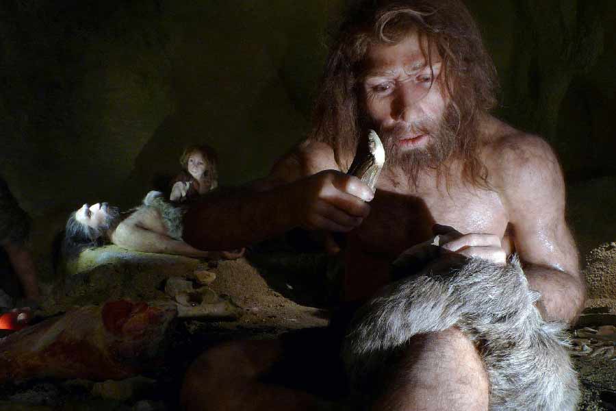 ১৯ অক্টোবর ‘নেচার’ পত্রিকায় এই আন্তর্জাতিক গবেষণাপত্রটি প্রকাশিত হয়েছে। তাতে নিয়ান্ডারথালদের যৌনজীবন নিয়ে নতুন তথ্য দিয়েছেন গবেষকরা। 