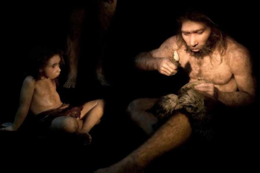 যদিও নিয়ান্ডারথালদের উপপ্রজাতি যে এককালে হোমোসেপিয়েনস-এর সঙ্গে যৌনতায় মেতেছিলেন, সে দাবিও করেছেন ওই গবেষণাপত্রটি।