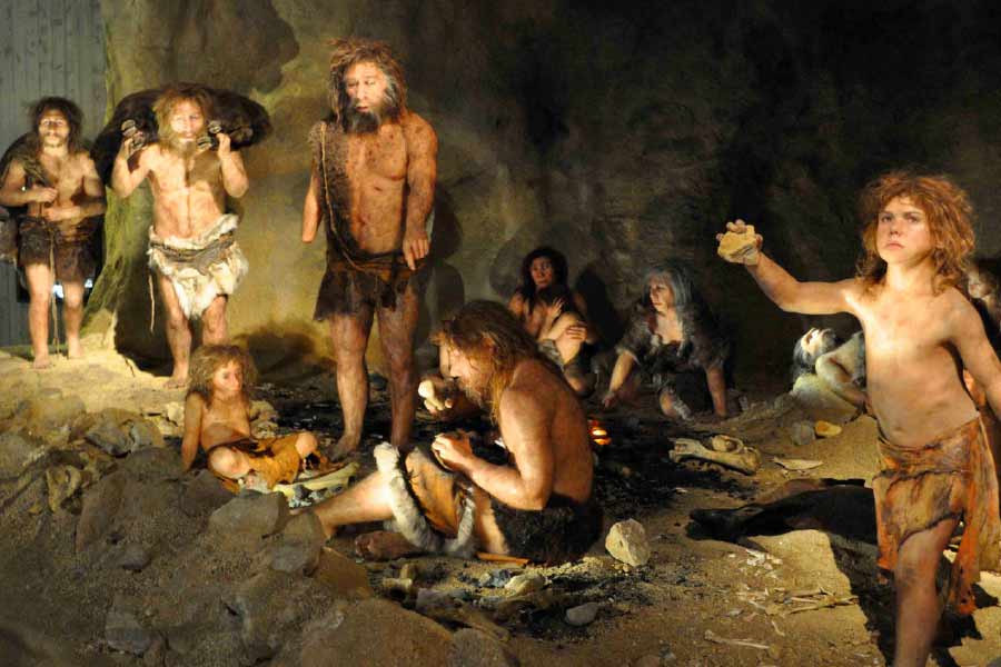 ওই গবেষণাপত্রটির আরও দাবি, আধুনিক যুগের প্রায় সমস্ত মানবদেহের জীবাশ্মে নিয়ান্ডারথালদের কিছু ডিএনএ পাওয়া গিয়েছে।