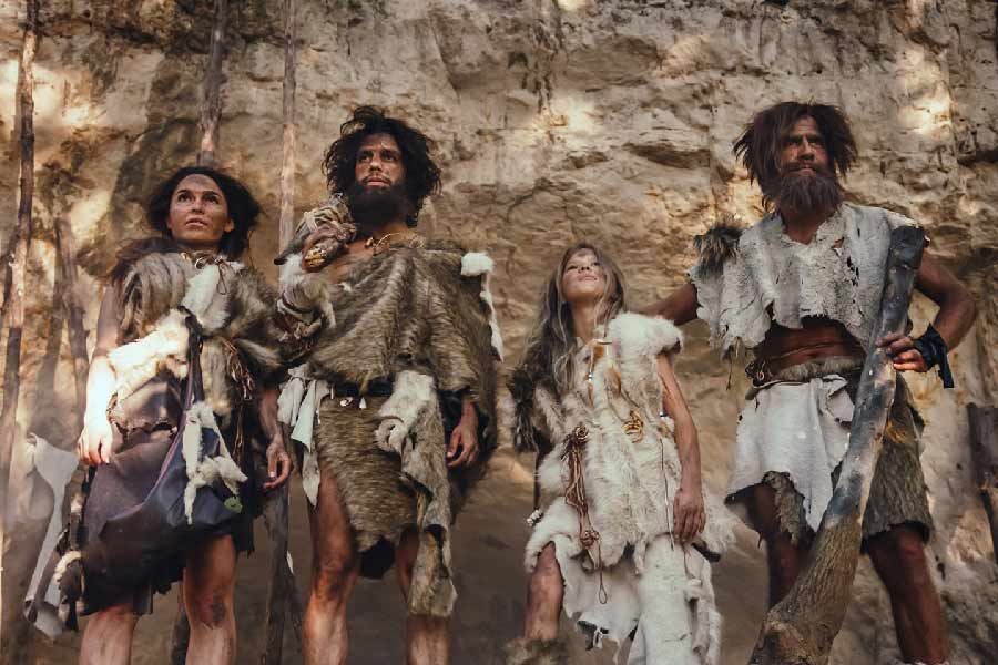 নিয়ান্ডারথালদের মধ্যে যে বিশেষ জিনবৈচিত্র মেলেনি, গবেষণাপত্রে তা-ও জানিয়েছেন বিবর্তন বিশেষজ্ঞরা। তাঁদের দাবি, নিজেদের গোষ্ঠীর মধ্যেই বংশবৃদ্ধি করতে পছন্দ করতেন নিয়ান্ডারথালরা।