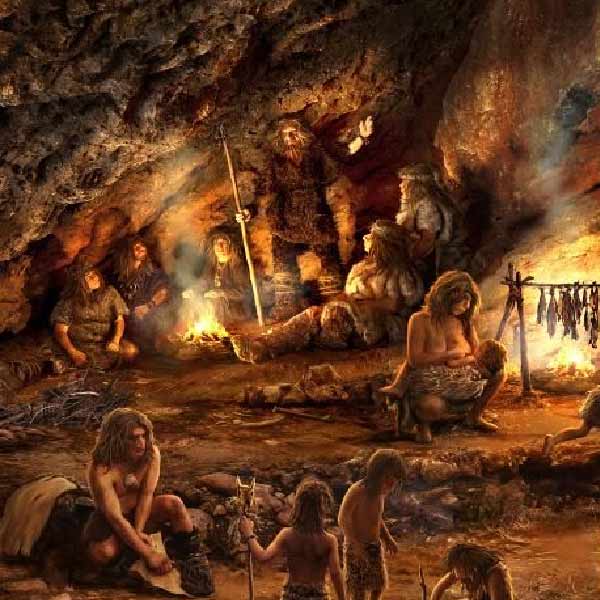 এই নতুন দাবি নিয়ে সংবাদ সংস্থা এএফপি-কে নিজেদের মতামত দিয়েছেন গবেষণার সঙ্গে জড়িত বিবর্তন বিশেষজ্ঞরা। গবেষণাপত্রটির সহ-লেখক তথা জার্মানির ‘ম্যাক্স প্লাঙ্ক ইনস্টিটিউট অফ হিউম্যান হিস্ট্রি’র ইভোলিউশনারি জেনেসিস্ট স্টেফান পেরেঞ্জ বলেন, ‘‘আমরা হয়তো একটি অতিমাত্রায় উপবিভক্ত জনসংখ্যার যৌনজীবন নিয়ে গবেষণাপত্রে আলোচনা করেছি।’’