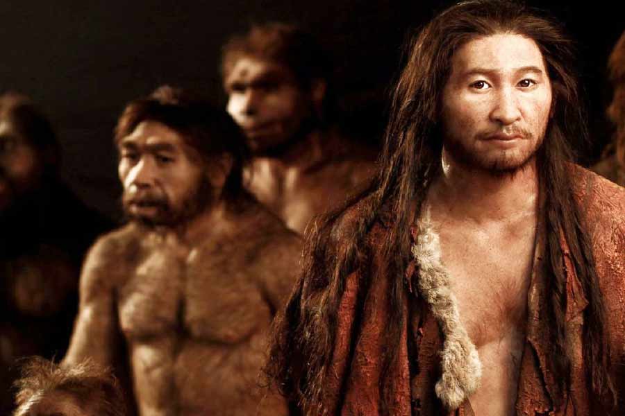 ওই উপপ্রজাতির ক্রোমোজ়োমগুলি বিশ্লেষণ করেছেন গবেষকরা। তাতে দেখা গিয়েছে, উত্তরাধিকার সূত্রে বাবার থেকে যে ওয়াই ক্রোমোজ়োম পাওয়া গিয়েছে, তা যথেষ্ট বৈচিত্রপূর্ণ। যদিও মায়ের তরফে পাওয়া মাইটোকন্ড্রিয়াল ডিএনএ-তে বিশেষ বৈচিত্র নেই। এর অর্থ কী?