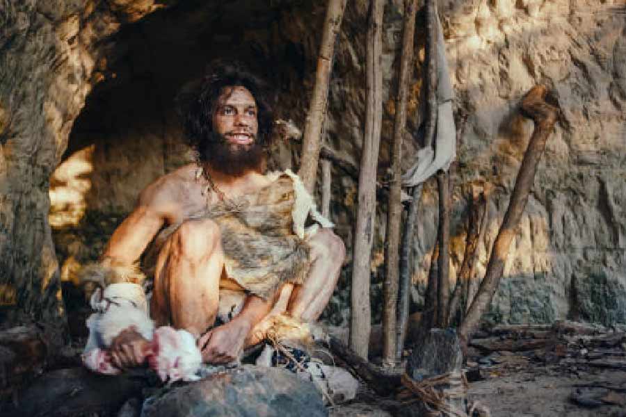 গবেষকদের দাবি, অন্য গোষ্ঠীর নিয়ান্ডারথালদের মধ্যে যৌনসঙ্গী খুঁজতে মহিলারা গুহার ঘন ঘন বেরিয়েছেন। তবে যৌনচাহিদা মেটাতে পুরুষেরা নিজেদের আশ্রয়স্থল অর্থাৎ গুহা ছেড়ে নড়েননি।