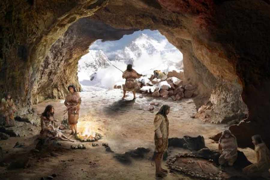 স্বাভাবিক ভাবেই এই গবেষণাপত্রটি নিয়ে বৈজ্ঞানিকদের মধ্যে আলোচনাও শুরু হয়েছে। ফ্রান্সের ‘ন্যাচারাল মিউজ়িয়াম অফ হিস্ট্রি’-র জীবাশ্মবিদ আতোয়াঁ বালজ়ো সংবাদমাধ্যমে বলেন, ‘‘গবেষণাটি যে খুবই আকর্ষণীয়, তাতে সন্দেহ নেই।’’ যদিও তাঁর মতে, অন্যান্য গবেষণার সঙ্গে এর তুলনা টেনে তার পর নিয়ান্ডারথালদের নিয়ে কোনও সিদ্ধান্ত করা উচিত।