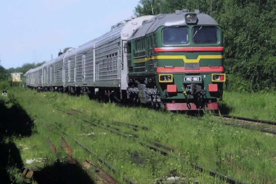 ব্রিটিশ সংবাদমাধ্যমের দাবি, পরমাণু অস্ত্রসম্ভার সাজাতে পশ্চিমি দেশগুলি যখন উন্নত প্রযুক্তির সাহায্য নিয়েছে এবং সে জন্য বিপুল পরিমাণ অর্থব্যয় করেছে, সে সময় নিজস্ব পদ্ধতিতে এগিয়েছে তৎকালীন সোভিয়েত ইউনিয়ন। পরমাণু অস্ত্রবহনের জন্য জেটবিমান বা স্যাটেলাইট রকেটের পরিবর্তে একটি পুরনো দিনের ট্রেনের উপরেই নাকি ভরসা রেখেছে তারা।