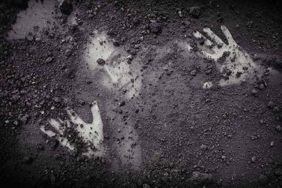 ইয়াং জানিয়েছেন, মাটির নীচে ক্রমাগত নাক নাড়াচাড়া করছিলেন তিনি। সমস্ত শক্তি দিয়ে নিশ্বাস নেওয়ার চেষ্টা করছিলেন। নাকের মাধ্যমেই মাটি একটু একটু করে সরিয়ে দিয়েছিলেন তিনি।