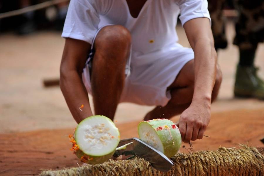 আর নিয়মের মুখোশের আড়ালে থাকে যুগের পর যুগ ধরে হয়ে আসা কিছু রীতি, যার পরিবর্তন প্রয়োজন আর বদল আসছেও। যেমন, বলি প্রথা! 