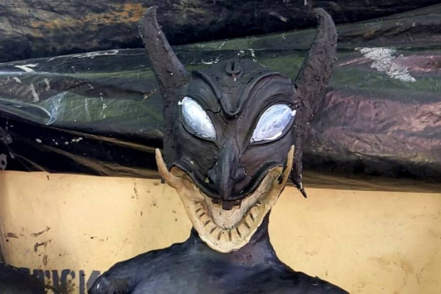 মোটামুটি ১৫০০ থেকে ২০০০ টাকা থেকে শুরু হয় ডাকিনী-যোগিনীর জোড়া। বিশেষ ক্ষেত্রে দাম প্রায় কালী মূর্তির দাম ছুঁই ছুঁই।