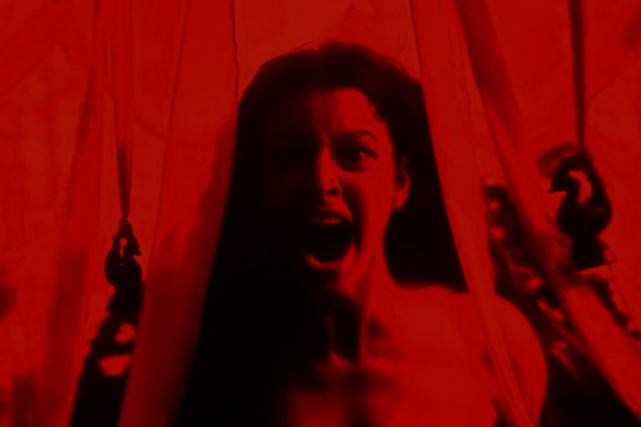 তৃপ্তি দামরি বুলবুলের ভূমিকায় দারুণ অভিনয় করেছেন। এ ছাড়াও ছবিতে অভিনয় করেছিলেন অভিনাশ তিওয়ারি, পাওলি দাম, পরমব্রত চট্টোপাধ্যায় এবং রাহুল বসু।