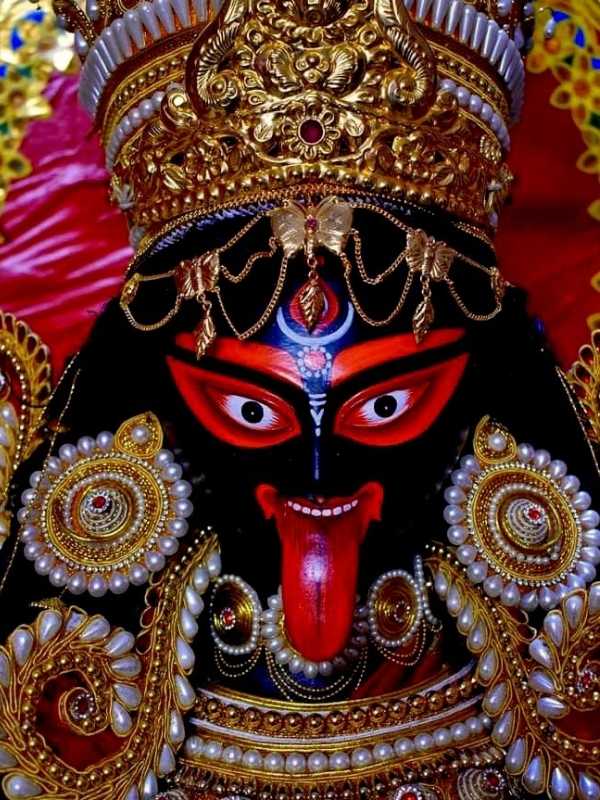 কালির আশীর্বাদে জীবনে চলার ক্ষেত্রে কেরিয়ার ও ব্যবসার সমস্ত বাধা দূর হয়। শনি ও রাহুর দশা অন্তদর্শা থেকে মুক্তির জন্যও কালীর উপাসনা করতে পারেন।