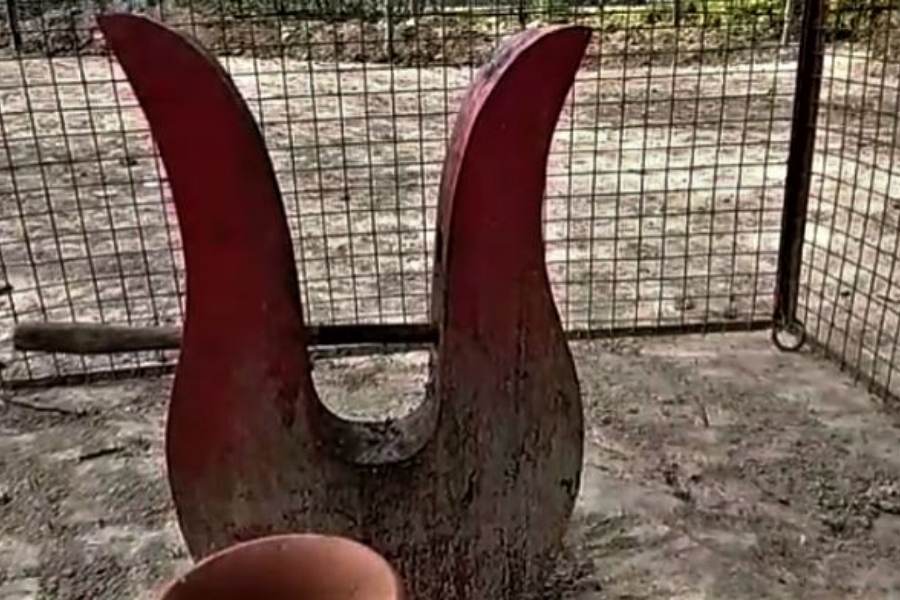 ৬০০ বছর পূর্বে ইংরেজ আমলে তৎকালীন অভিবক্ত বাংলায় এই পুজোর শুরু করেন জমিদার যোগেন্দ্রনারায়ণ চৌধুরী। স্বপ্নাদেশে দেবীকে দর্শন করেছিলেন তিনি।