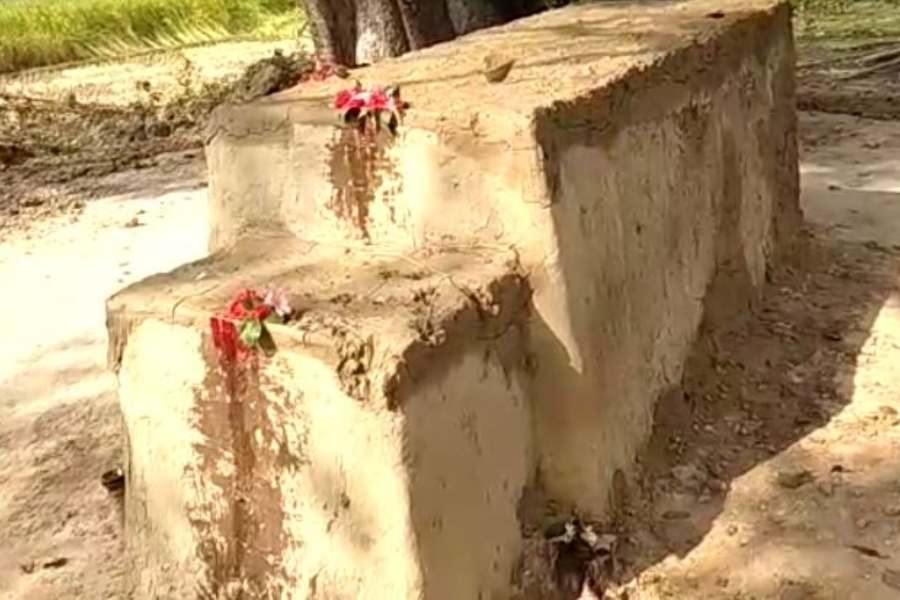 শোনা যায়, সেই স্বপ্নাদেশেই দেবী যোগেন্দ্রনারায়ণকে নির্দেশ দিয়েছিলেন কোনও মন্দির না তৈরি করার। সেই কারণেই আজও দেবীর কোনও মন্দির নেই।