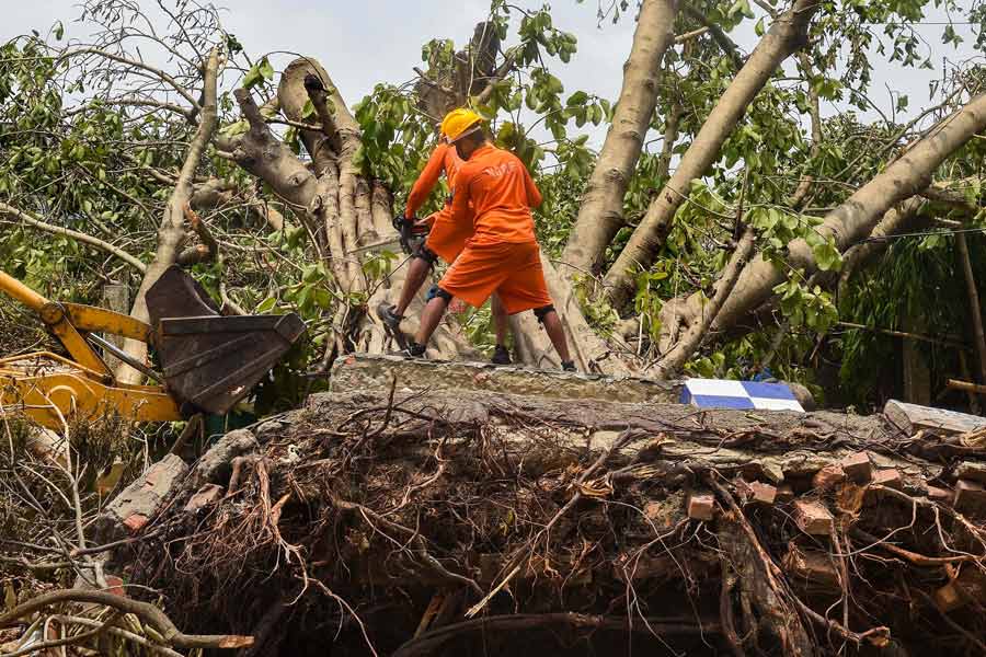 এ ছাড়াও ভারী বর্ষণের জেরে নিচু এলাকায় জল জমতে পারে। শাকসবজি ও ফসল নষ্টের আশঙ্কা করা হয়েছে। 