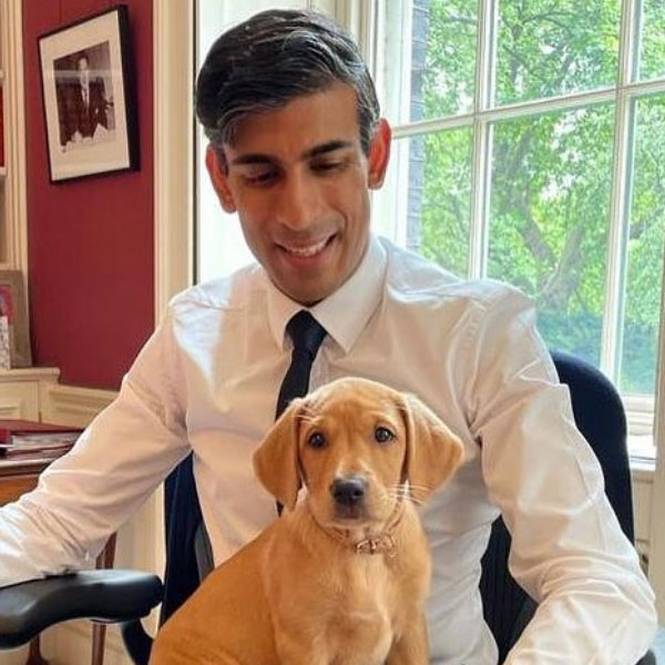 মধ্য লন্ডনে বিলাসবহুল বাড়ি রয়েছে ঋষির। একাধিক সুযোগসুবিধা রয়েছে সেই বাড়িতে। জানা গিয়েছে, সুনকের বাড়িতে রয়েছে পাঁচটি বেডরুম। এছাড়াও রয়েছে চারটি স্নানঘর। রয়েছে বিশাল   বাগানও।