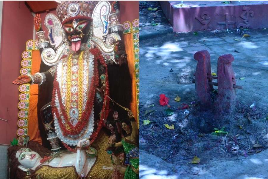 পুজোয় নেই কোনও বলি দেওয়ার চল। পরিবর্তে মায়ের কাছে উৎসর্গ করার চল রয়েছে বলে জানান কর্তৃপক্ষ। 