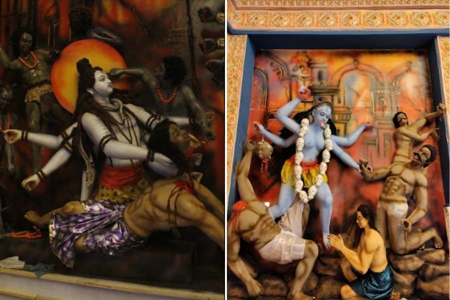 নবপল্লি বয়েজ স্কুল আমরা সবাই ক্লাব: এই ক্লাব নিয়েও বেশ উৎসাহী সকলে। কর্নাটকের সুপ্রাচীন ও জাগ্রত কোটি লিঙ্গেশ্বর শিব মন্দির উঠে আসবে শ্যামা পুজোর মণ্ডপসজ্জায়।  