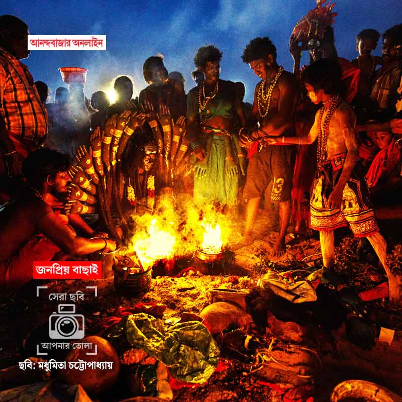 ছবি: মধুমিতা চট্টোপাধ্যায়।