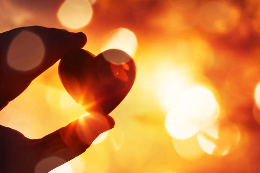 পুলিশ জানিয়েছে, প্রদীপকে প্রায়ই তাঁর কর্মক্ষেত্রের সমস্যার কথা জানাতেন রিয়া। সেই সব সমস্যা শুনে রিয়ার প্রতি সহানুভূতি তৈরি হয় প্রদীপের। তিনি রিয়াকে সাহায্য করতে শুরু করেন।