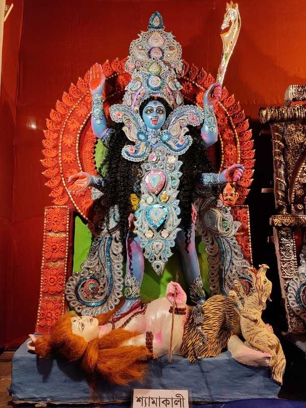 কালী: তিনি সর্বসংহারকারিণী। জন্ম এবং শক্তির দেবী। শুম্ভ ও নিশুম্ভের অত্যাচারে সকলে যখন অতিষ্ঠ, দেবী দুর্গার ভ্রুকুটি থেকে আবির্ভাব ঘটে তাঁর। 