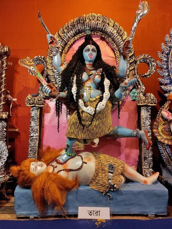 তারা: বিশ্বের উৎস হিরণ্যগর্ভের শক্তি ও মহাশূন্যের প্রতীক। দেবী পথপ্রদর্শিকা এবং রক্ষিকা যিনি সবাইকে রক্ষা করেন। তন্ত্রশাস্ত্রে তিনি মহানীল সরস্বতী। 