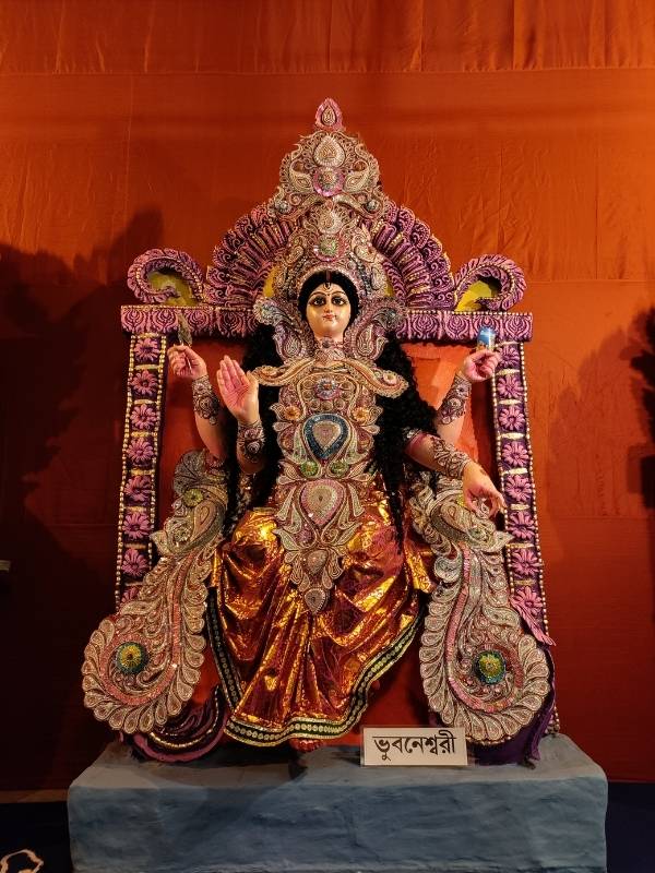 ভুবনেশ্বরী: পুরাণের পাতা থেকে জানা যায়, দেবী যখন উন্মত্ত হয়ে ষোড়শী রূপ ধারণ করেন তখন শিবের বুকে নিজের ভয়ঙ্কর ছায়া থেকে ভীত হয়ে পড়েন দেবী। তার পর যখন উপলব্ধি করতে পারেন সেটি তাঁর নিজের ছায়া, তখন কিছুটা সুস্থির হন দেবী। ঠিক এই অবস্থার রূপ হল ভুবনেশ্বরী। তিনি পার্থিব জগতের শক্তিসমূহের প্রতীক।  