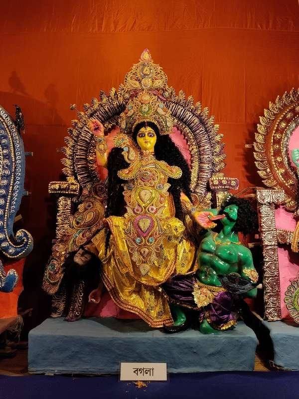 বগলামুখী: শত্রুবিনাশকারী এই দেবীর বাহন শবদেহ। রুরুরাসুর দৈত্যের পুত্র দুর্গমাসুরকে যুদ্ধে পরাজিত করে দেবতাদের রক্ষা করেন। সারস-মুন্ড রূপেও কল্পনা করা হয় দেবীকে।