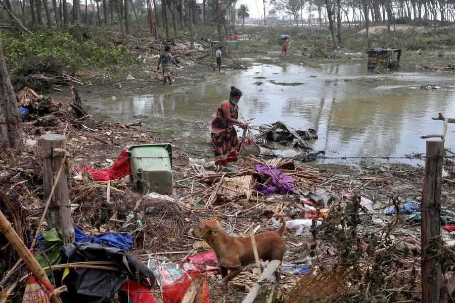 বুলবুলের তাণ্ডবে বাংলাদেশে কমপক্ষে ১৭ জনের মৃত্যু হয়েছিল। বাগেরহাট, সাতক্ষীরা, খুলনা, নোয়াখালি, বরিশাল, চট্টগ্রাম-সহ একাধিক এলাকার প্রায় ২০ লক্ষ মানুষ ক্ষতিগ্রস্ত হন। 